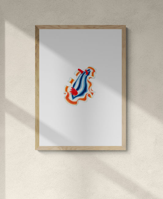 Framed colourful artwork illustration of the striped pyjama nudibranch. An adorable sea creature with beautiful wings that glides through the ocean