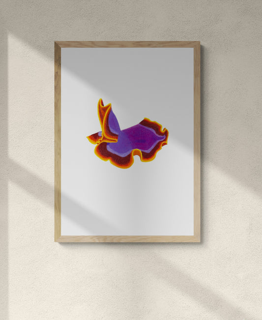 Nudibranch or Flatworm Print