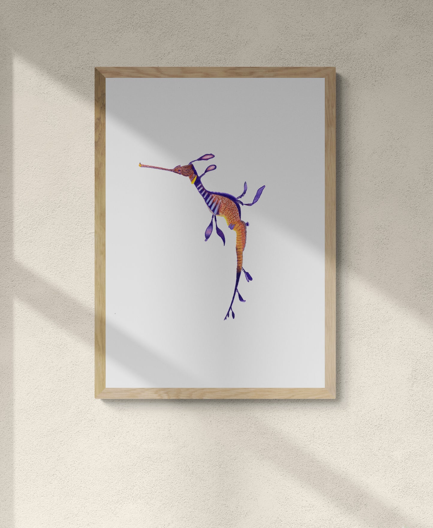 Weedy Sea Dragon Print