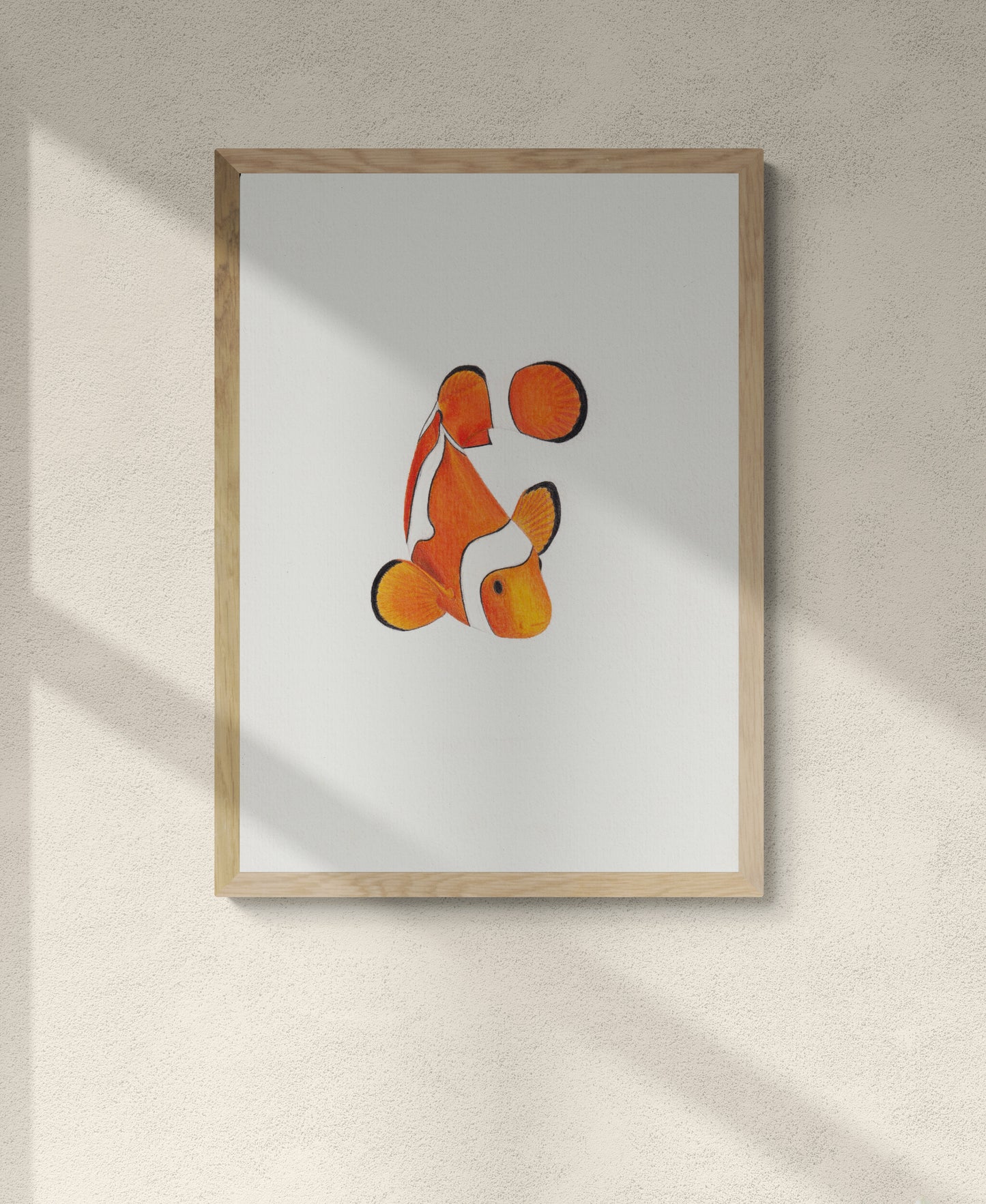 Clown Fish
