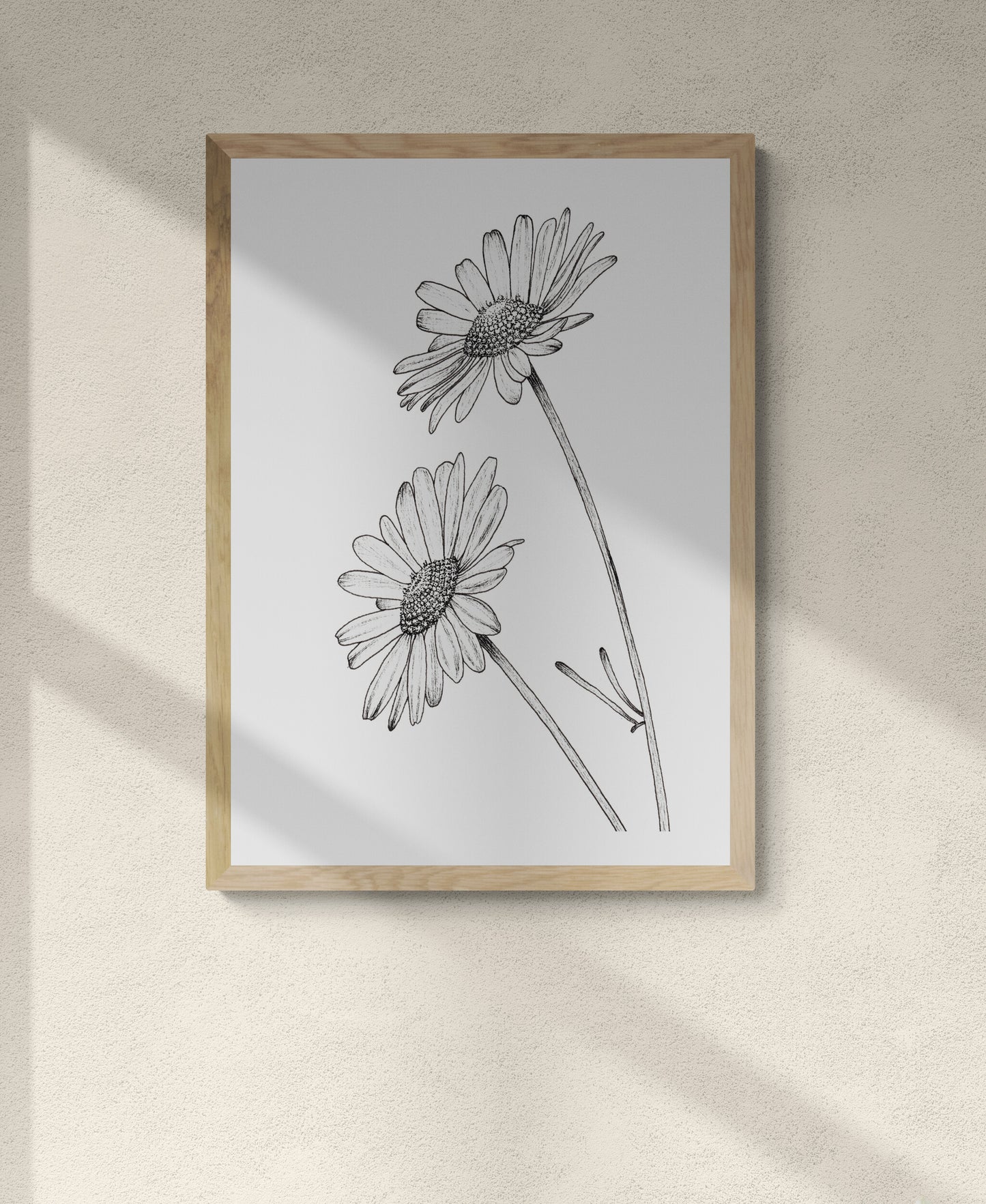 Daisies Print