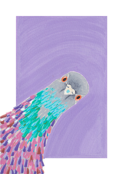 Pigeon Print