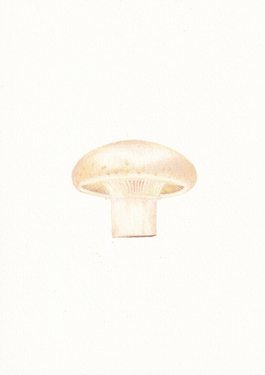 Mushroom Print