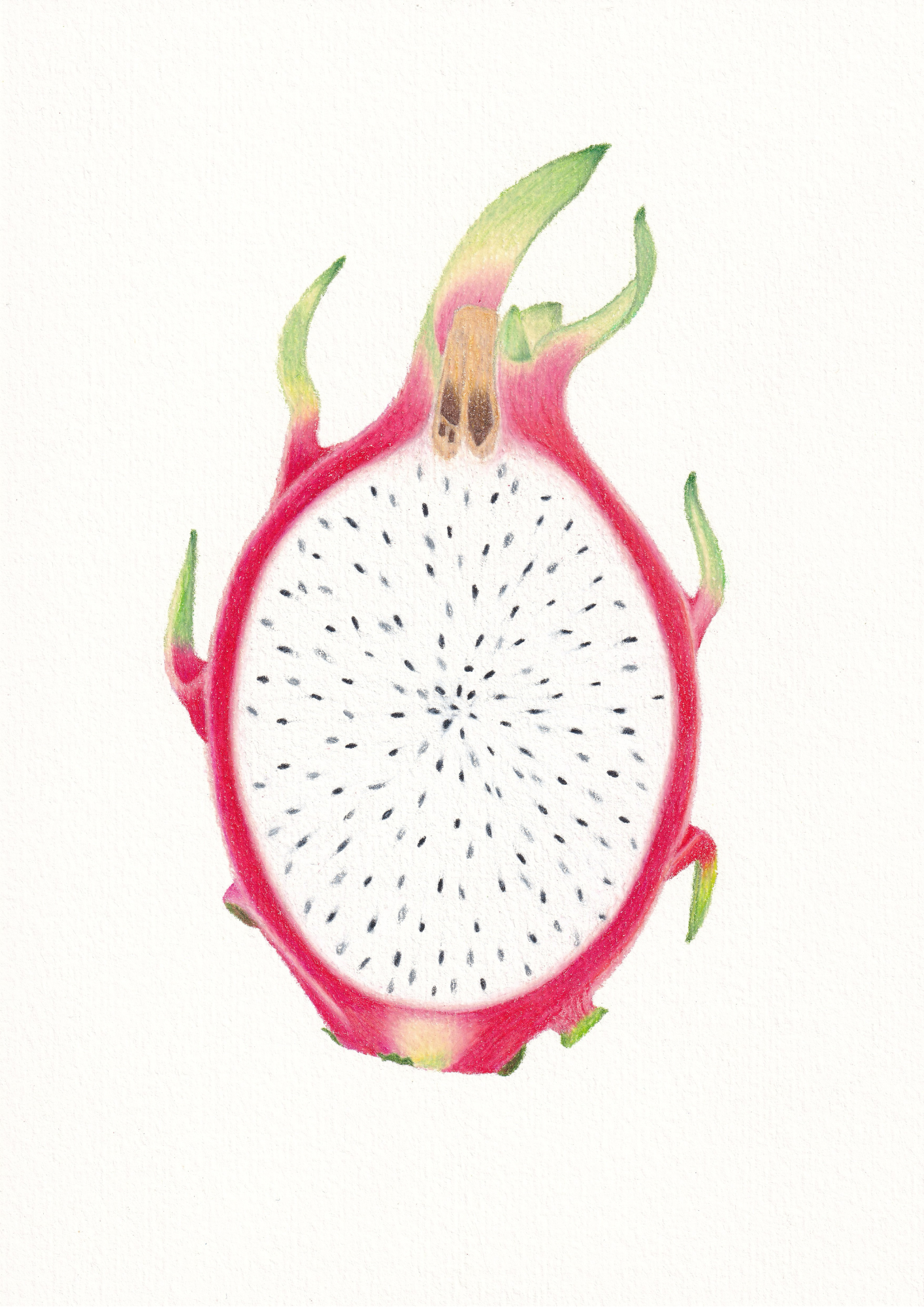 Dragonfruit Print
