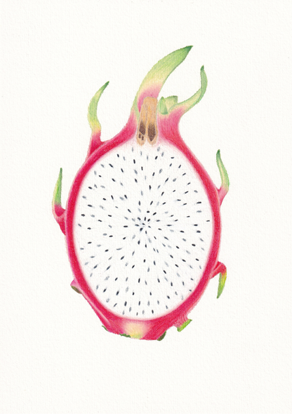 Dragonfruit Print