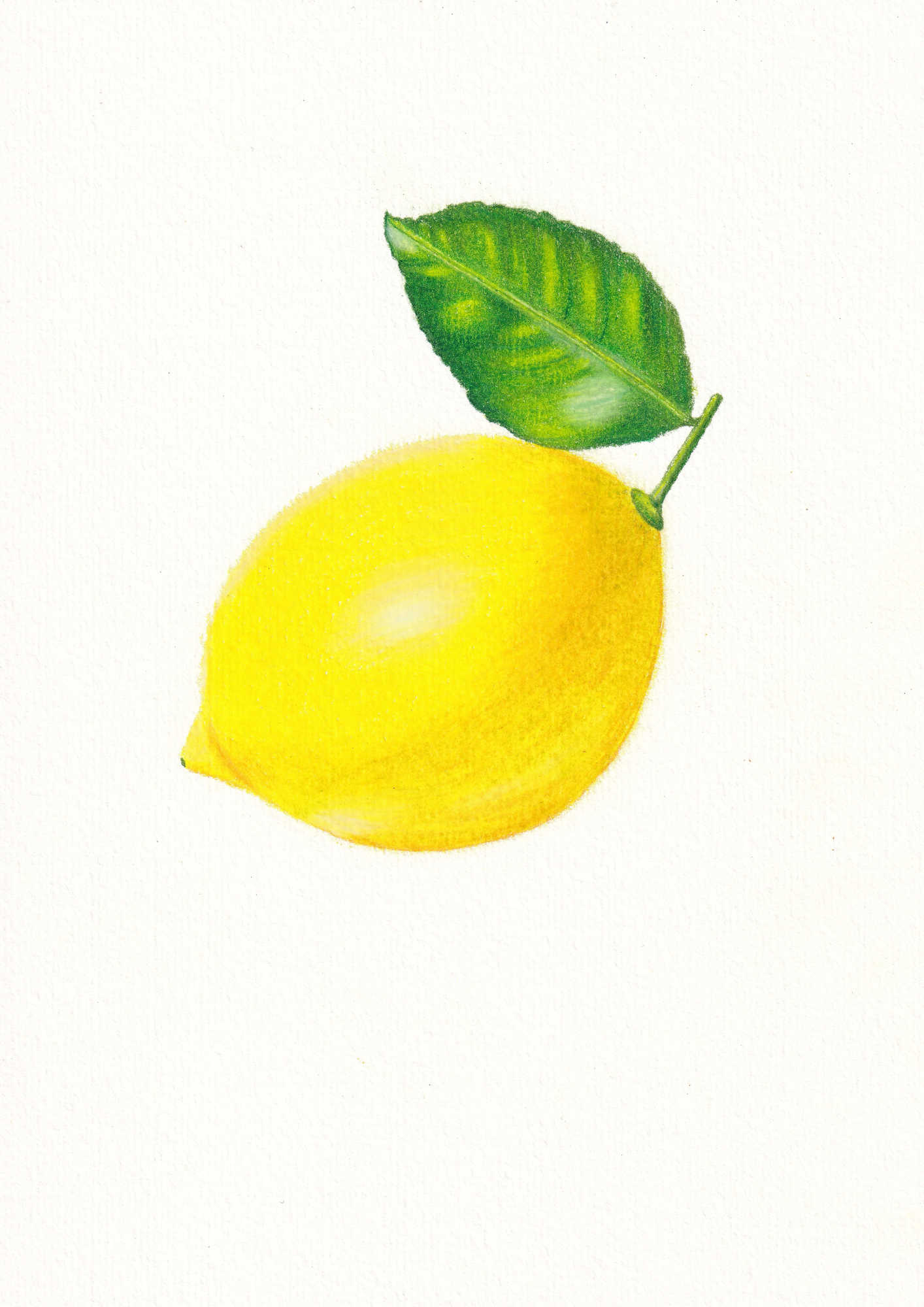 Lemon