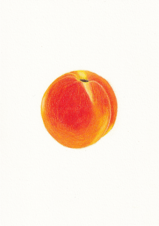 Peach Print
