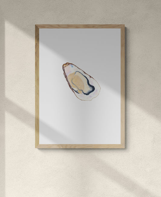 Oyster Print