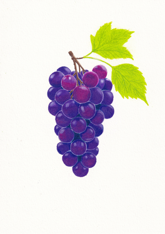 Grapes Print