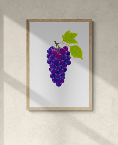Grapes Print