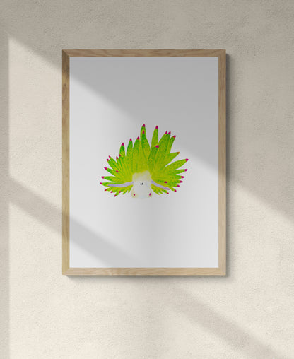 Sea Sheep Nudibranch Print