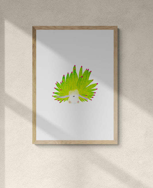 Sea Sheep Nudibranch Print