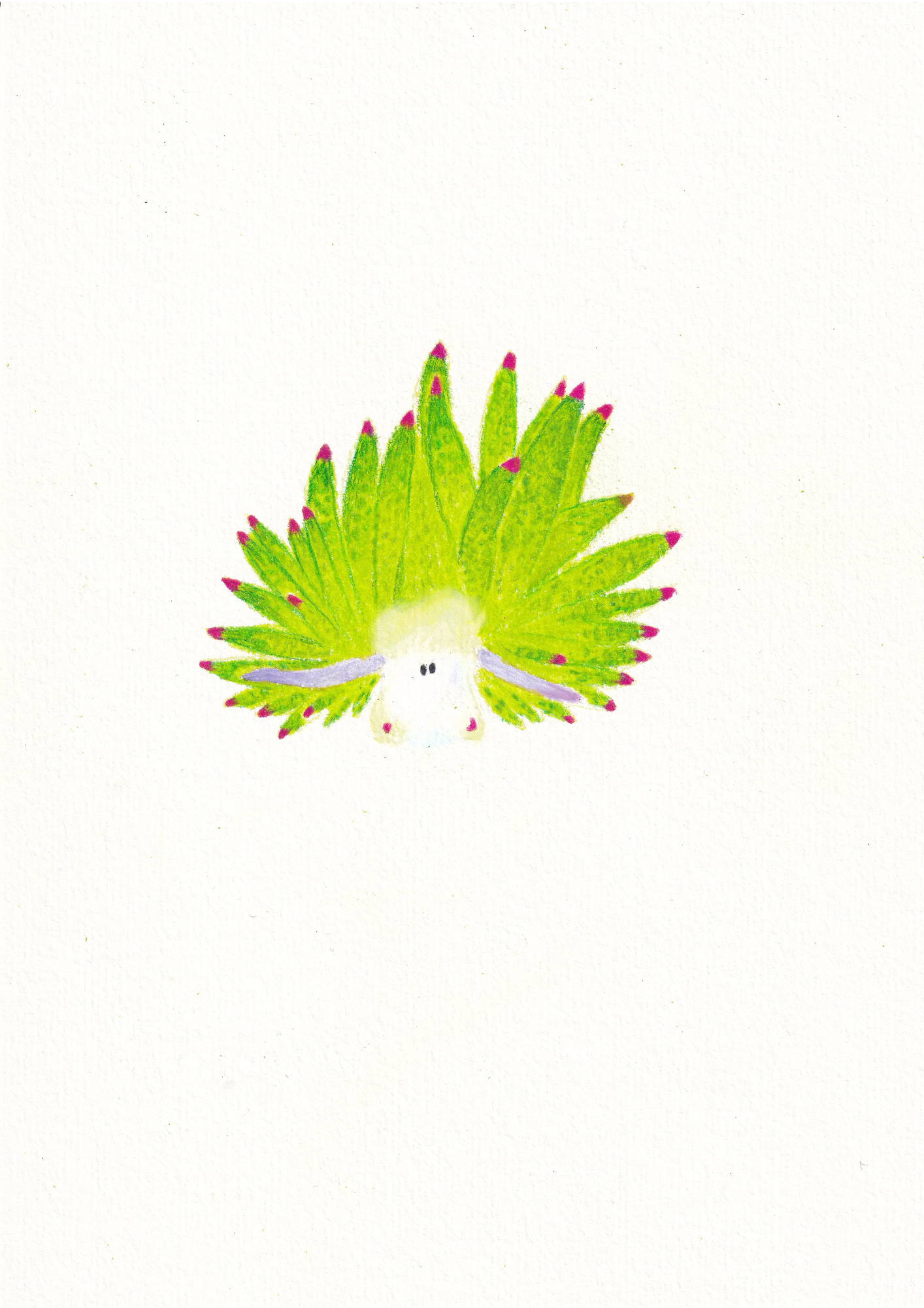 Sea Sheep Nudibranch Print