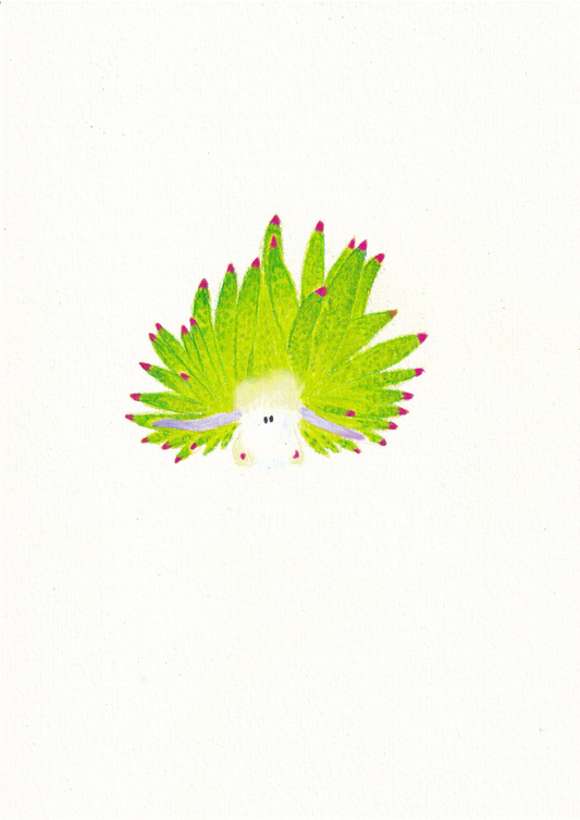 Sea Sheep Nudibranch Print