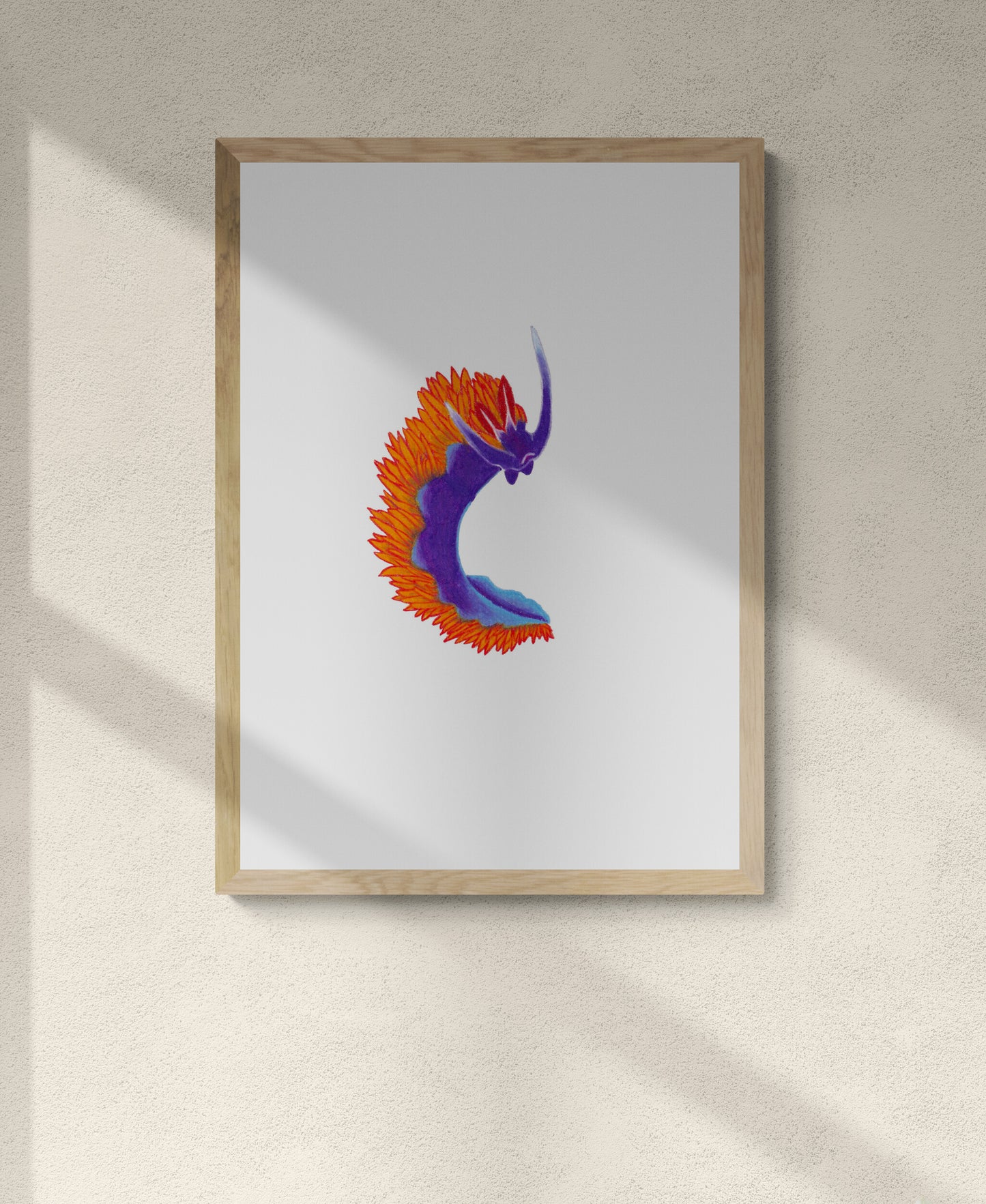 Spanish Shawl Nudibranch Print