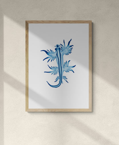 Framed colourful illustration of blue and white striped nudibranch known as the blue angel nudibranch. Sea lover, ocean, critter, cute