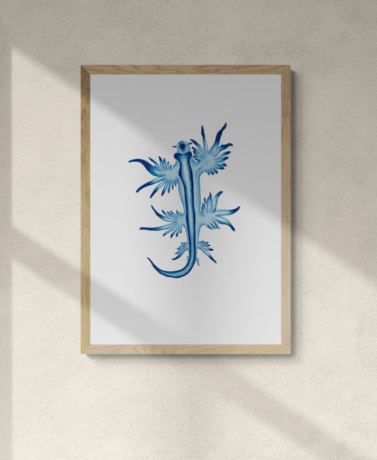 Framed colourful illustration of blue and white striped nudibranch known as the blue angel nudibranch. Sea lover, ocean, critter, cute
