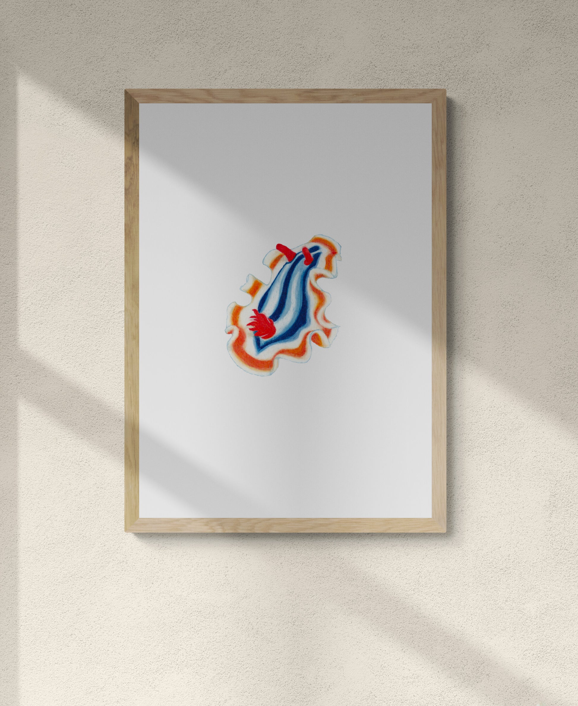 Framed colourful artwork illustration of the striped pyjama nudibranch. An adorable sea creature with beautiful wings that glides through the ocean