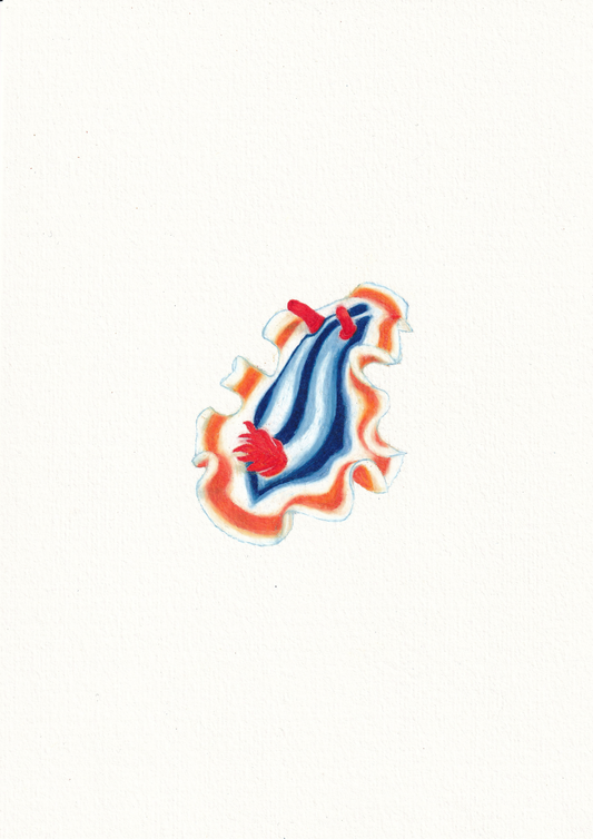 Colourful artwork illustration of the striped pyjama nudibranch. An adorable sea creature with beautiful wings that glides through the ocean