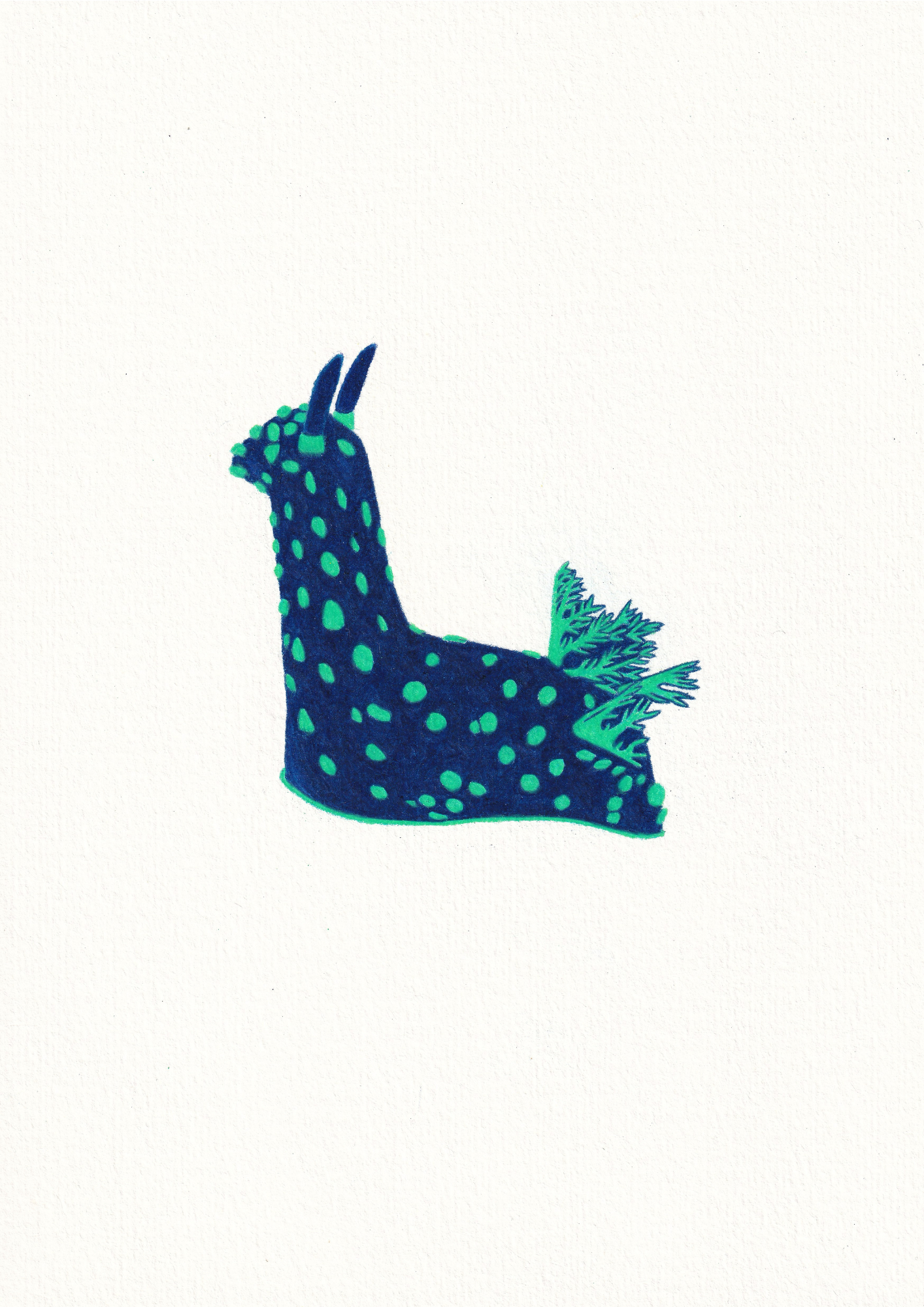 Cabbage Patch Nudibranch