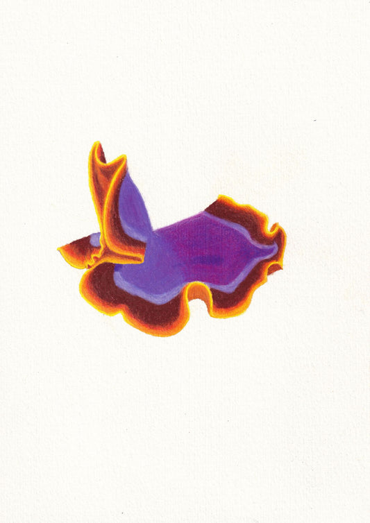 Nudibranch or Flatworm Print