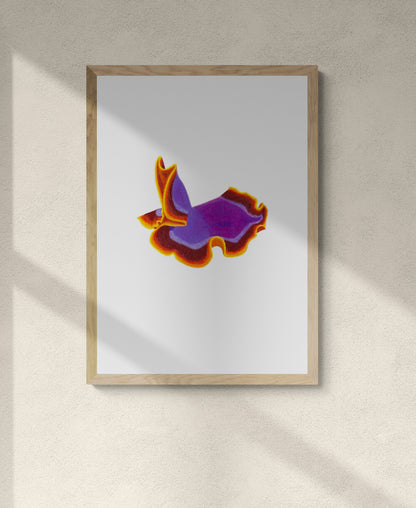 Nudibranch or Flatworm