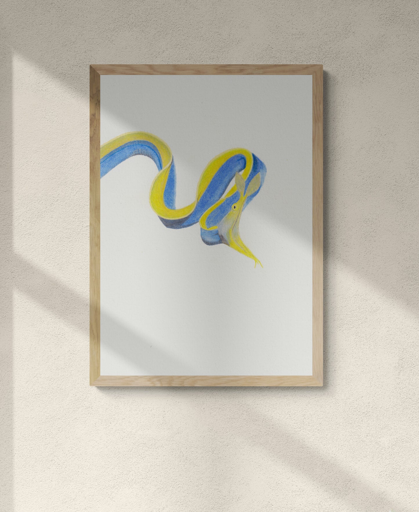 Blue Ribbon Eel Print