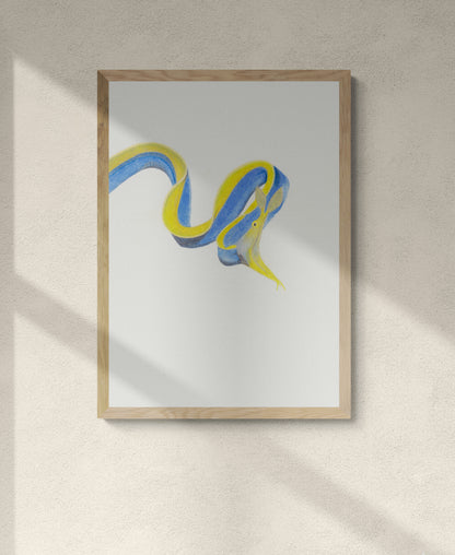 Blue Ribbon Eel Print
