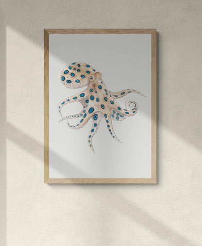 Blue-ringed Octopus Print
