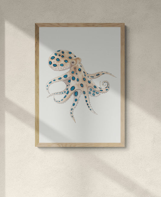 Blue-ringed Octopus Print