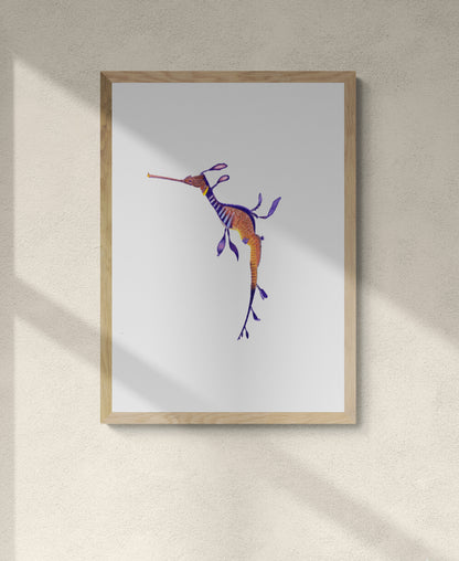 Weedy Sea Dragon Print