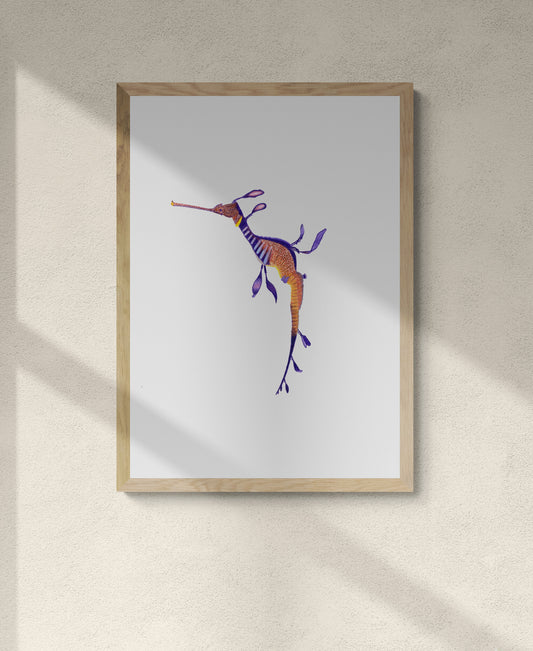 Weedy Sea Dragon Print
