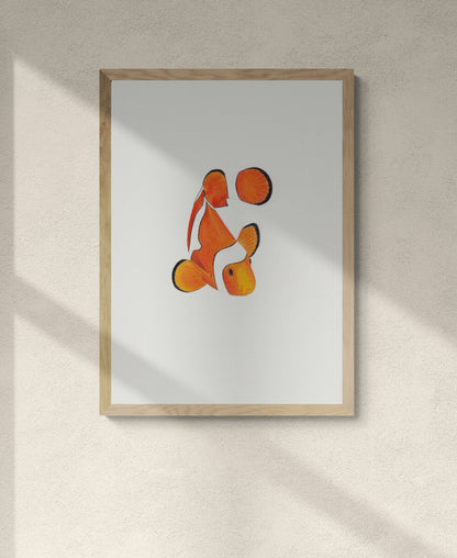Clown Fish