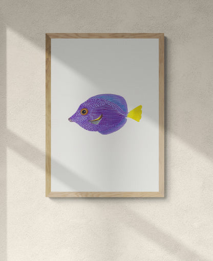 Purple Tang Print