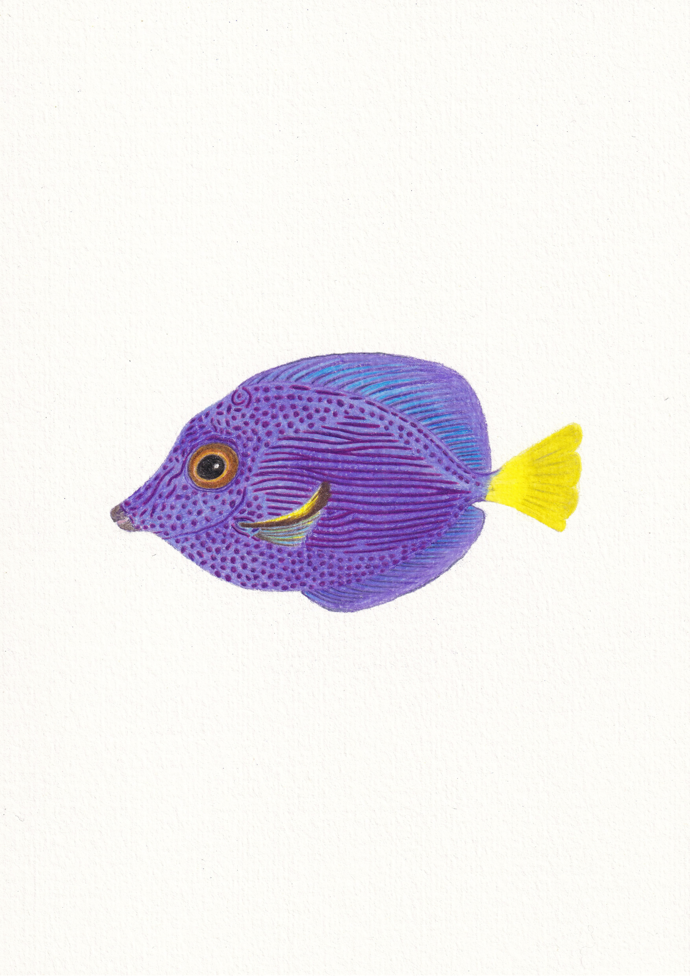 Purple Tang Print