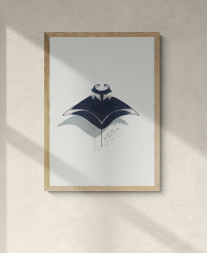 Manta Ray