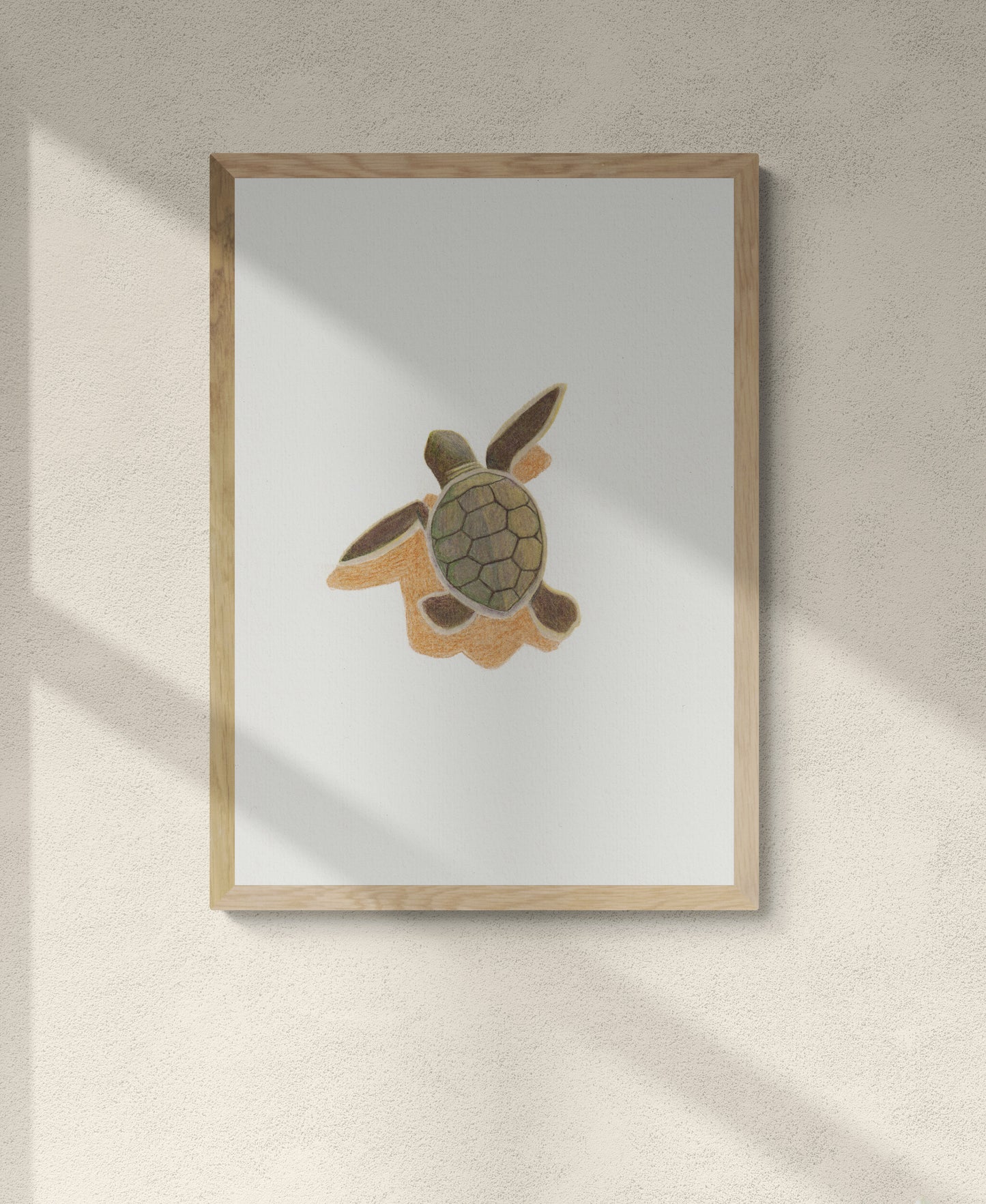Baby Sea Turtle Print