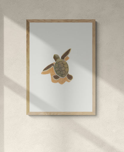 Baby Sea Turtle Print