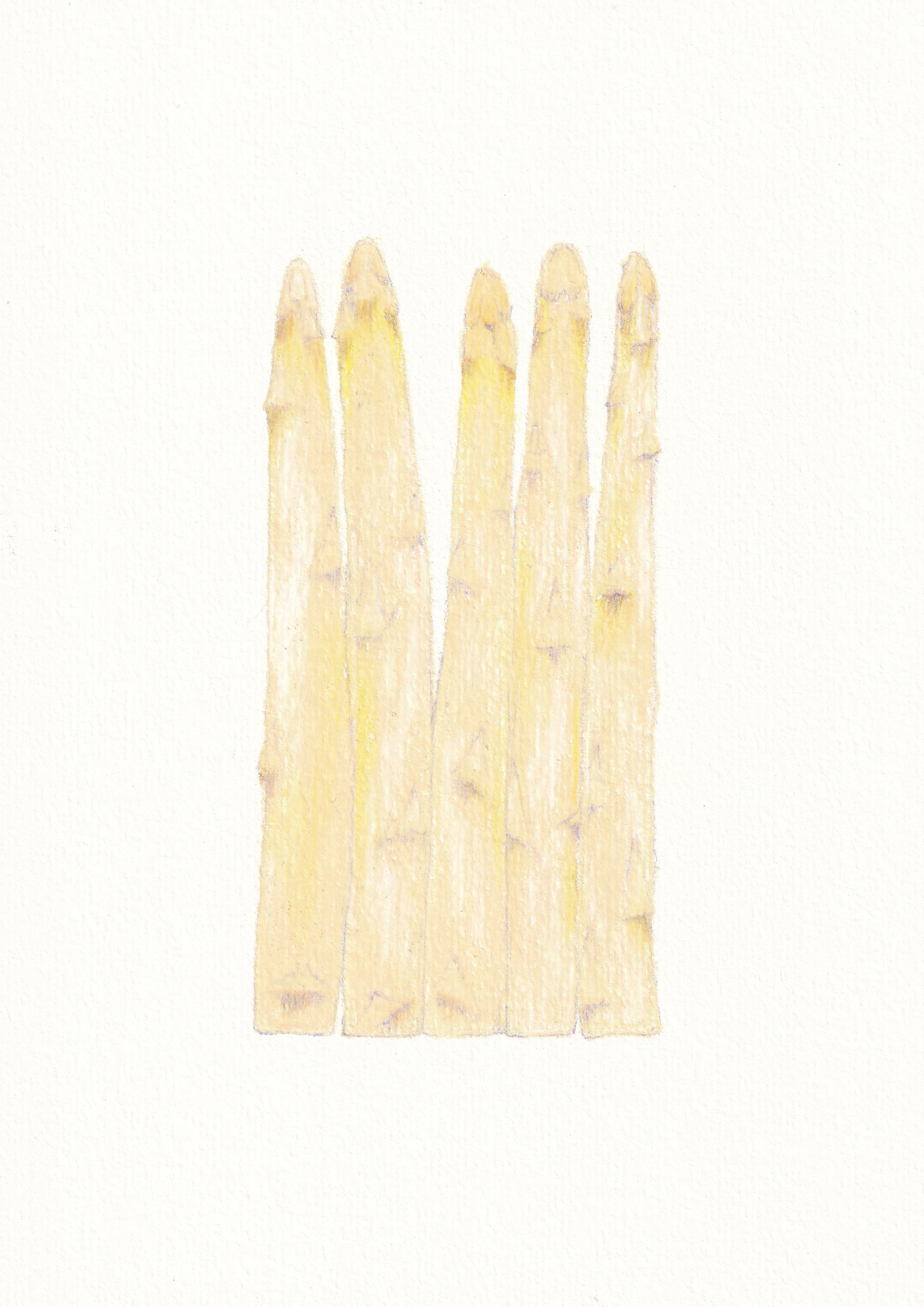 Asparagus Print