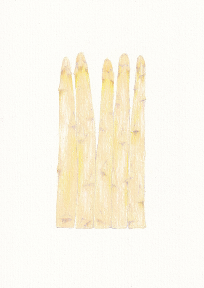 Asparagus Print