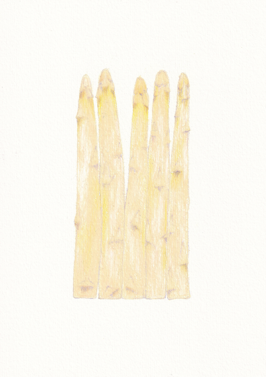 Asparagus Print
