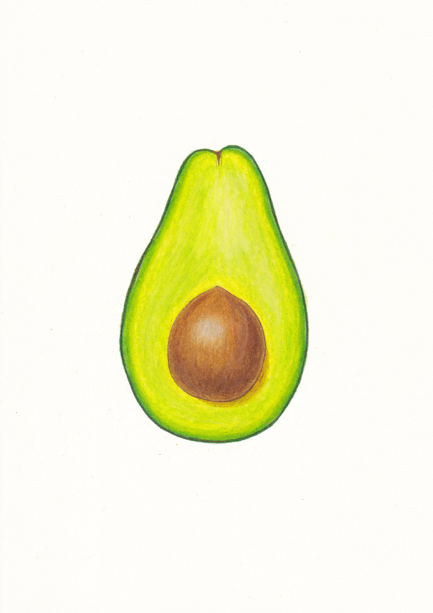 Avocado Print