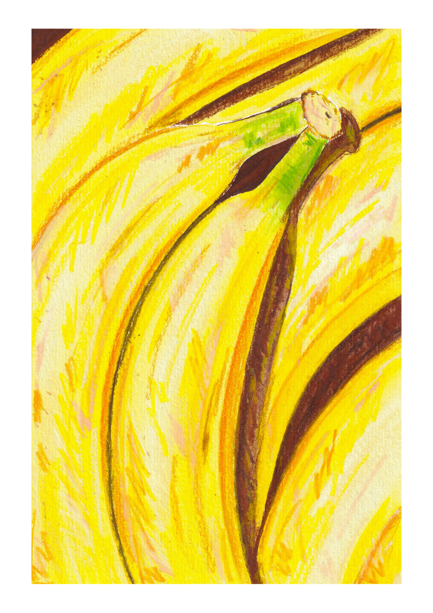 Bananas Print