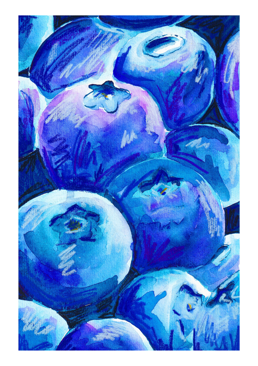 Blueberries Print