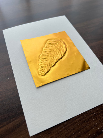 Golden Oyster