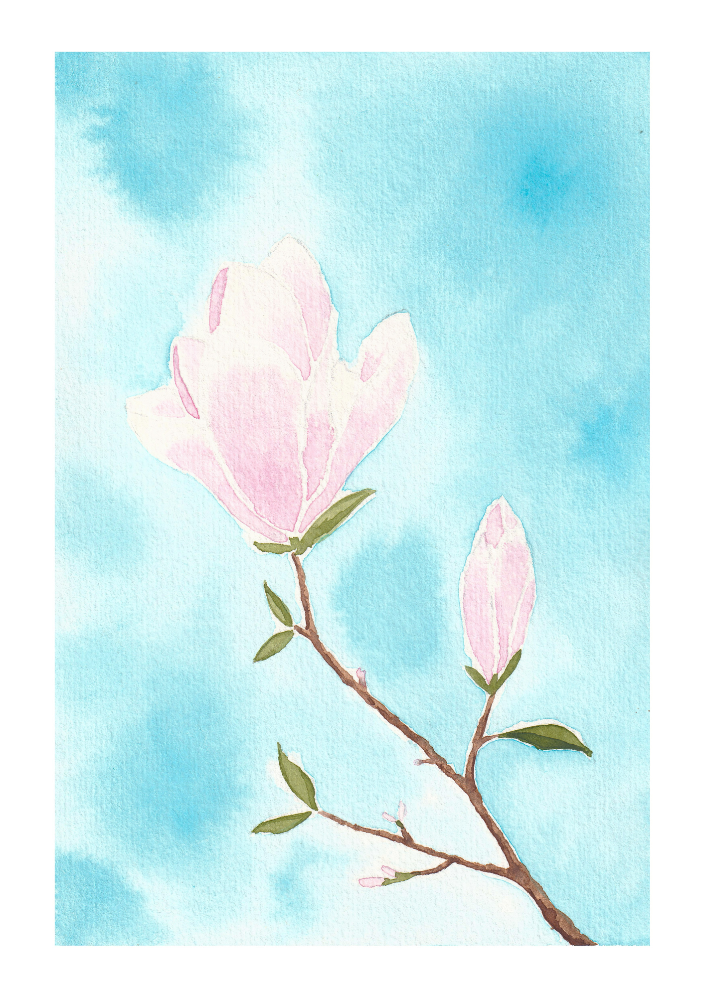 Magnolia Print