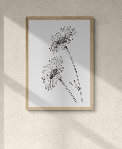 Daisies Print