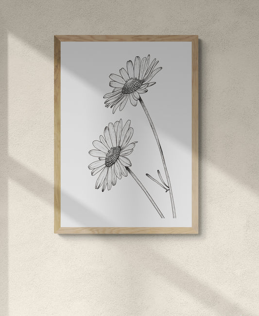 Daisies Print