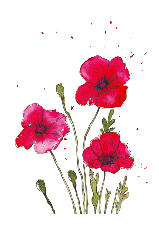 Poppies Print